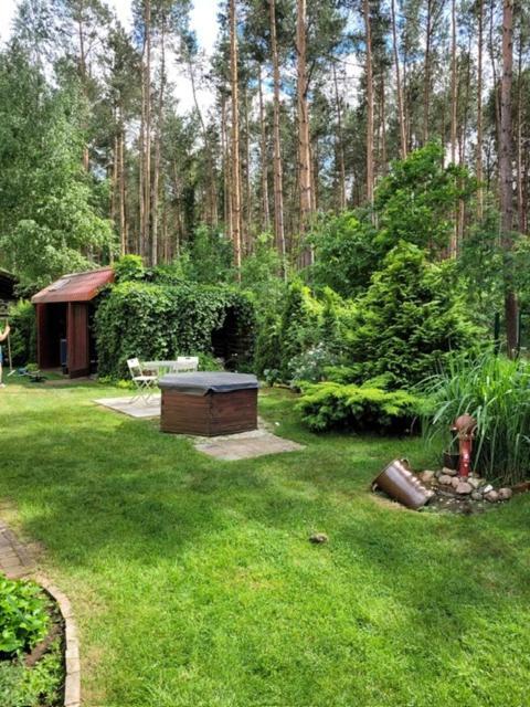 Dom Wakacyjny Merlin Nad Jeziorem Jodlow Slawa Radzyn Экстерьер фото